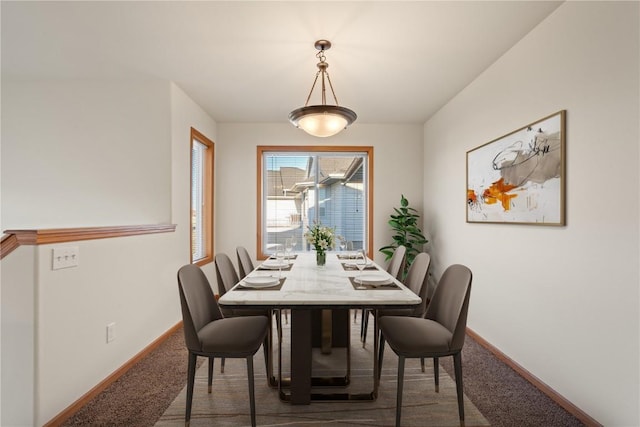 dining space with carpet