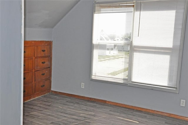 interior space featuring multiple windows and vaulted ceiling