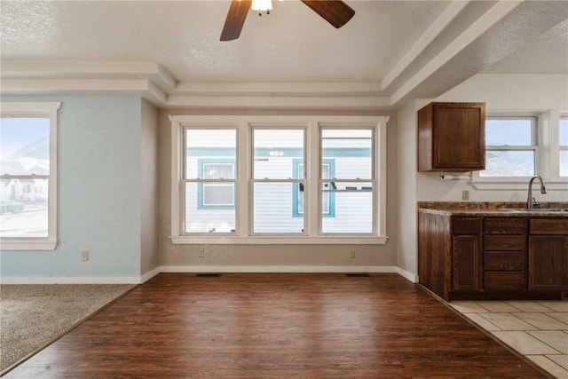 kitchen with plenty of natural light, ceiling fan, light wood-type flooring, and sink