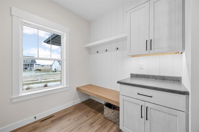 mudroom with light hardwood / wood-style flooring and a healthy amount of sunlight