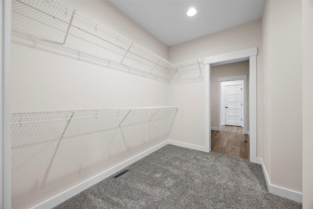 walk in closet featuring carpet