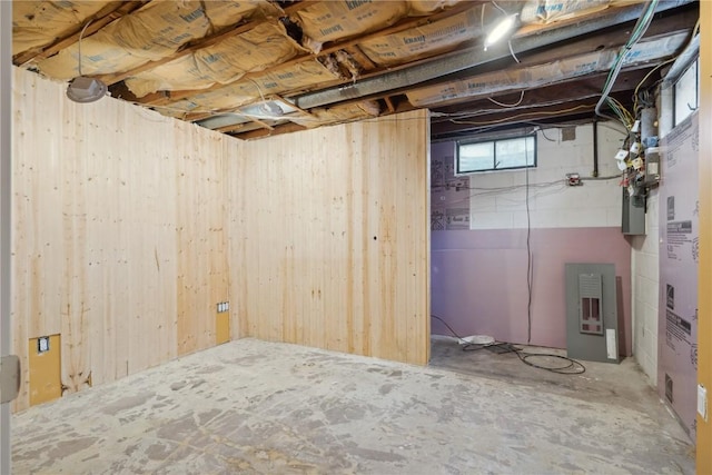 basement featuring wood walls