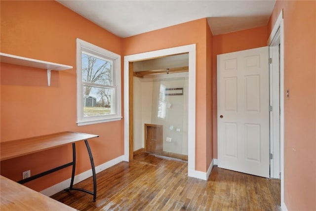 interior space featuring wood-type flooring and a closet