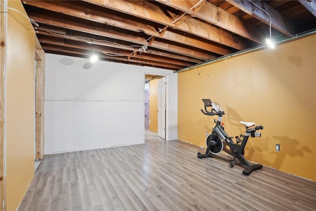 exercise room featuring light hardwood / wood-style floors