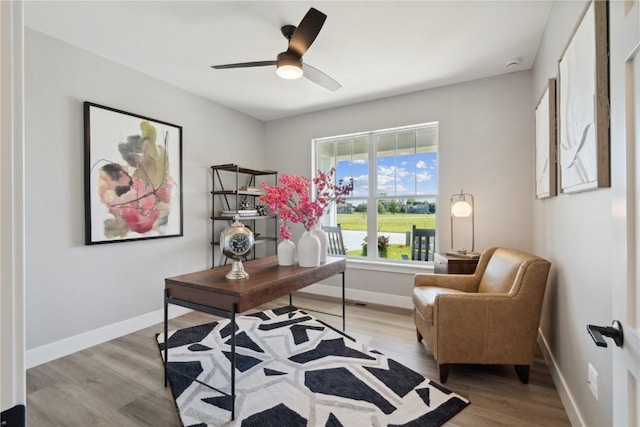 office with ceiling fan and light hardwood / wood-style floors