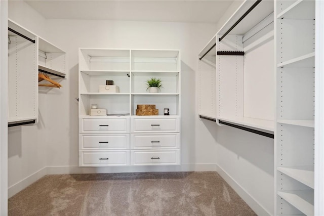 spacious closet featuring carpet floors