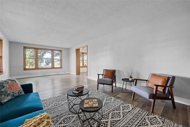 living room featuring hardwood / wood-style floors and a textured ceiling