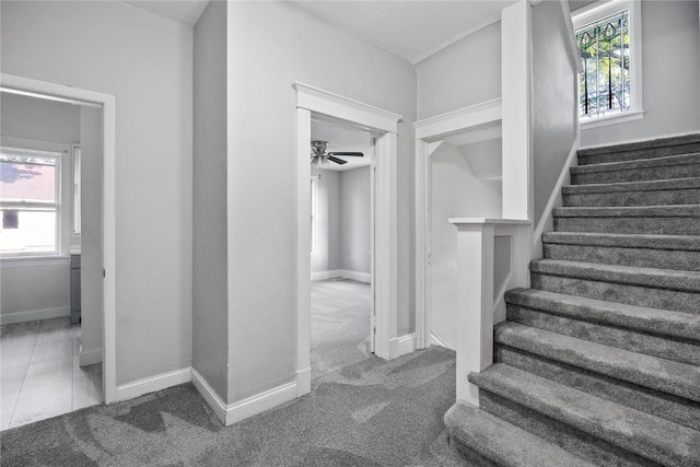 staircase with a textured ceiling, ceiling fan, and carpet floors