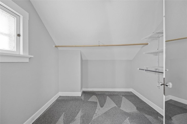 walk in closet with vaulted ceiling and carpet