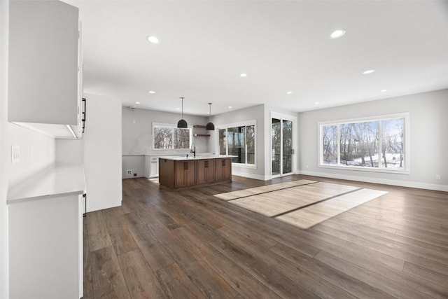 unfurnished living room with sink and dark hardwood / wood-style flooring