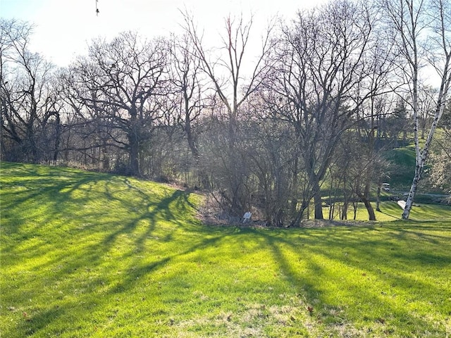 145 Fairway Dr, Lisbon, IA 52253 - view of yard