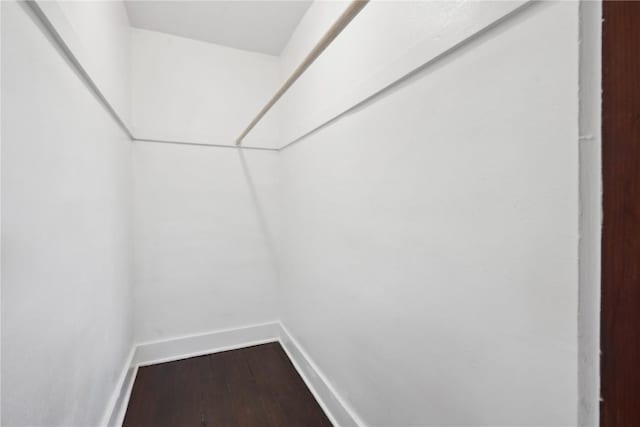 spacious closet featuring hardwood / wood-style flooring