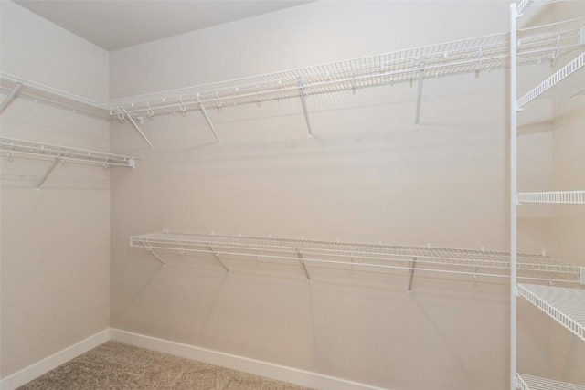 spacious closet with carpet