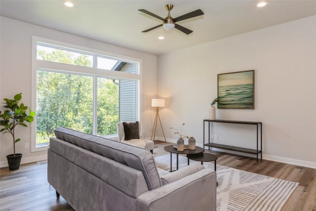 living room with ceiling fan, hardwood / wood-style floors, and plenty of natural light