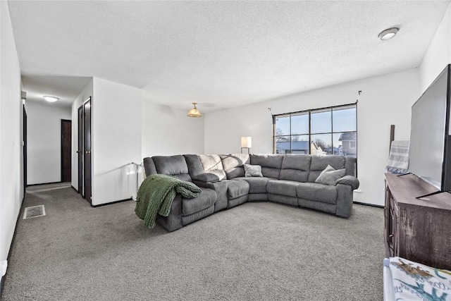 living room featuring a textured ceiling