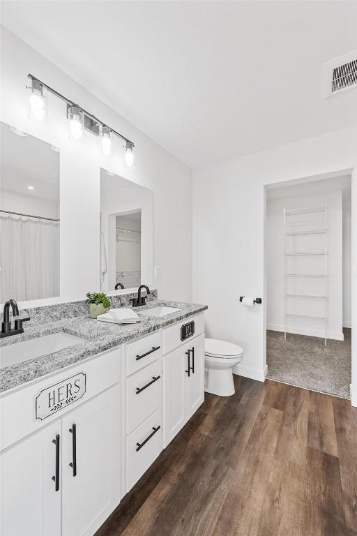 bathroom featuring toilet, vanity, and wood-type flooring