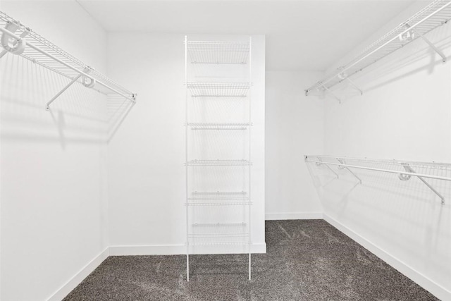 walk in closet featuring dark carpet