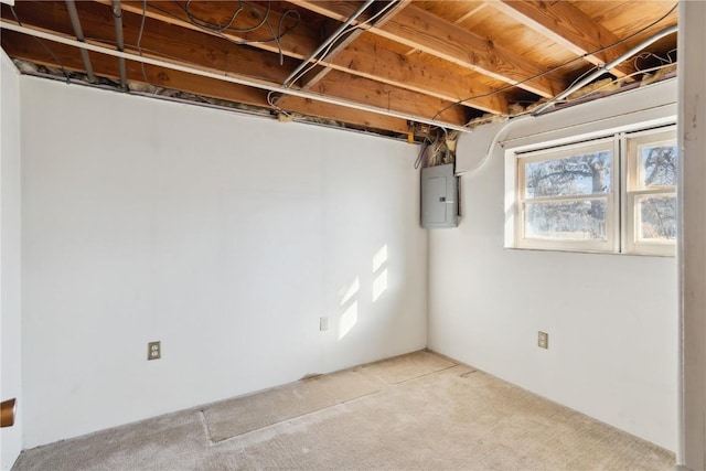 basement with carpet floors and electric panel