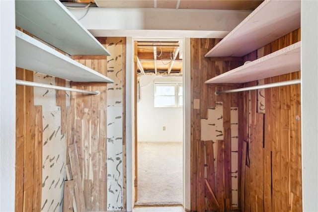 interior space with carpet floors and wooden walls