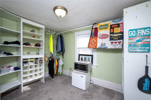 spacious closet with carpet