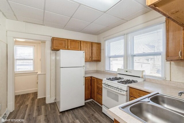 kitchen with a drop ceiling, dark hardwood / wood-style floors, sink, and white appliances