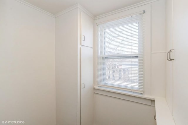 bathroom featuring ornamental molding