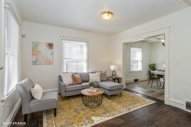 living room featuring baseboards and wood-type flooring