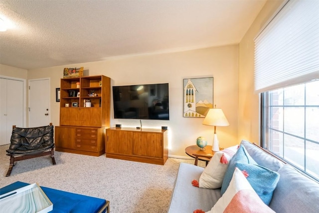 living room featuring carpet floors and a textured ceiling