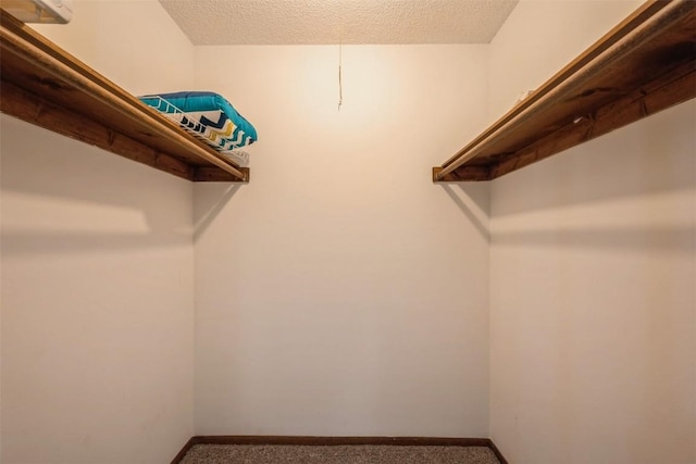 walk in closet with carpet flooring