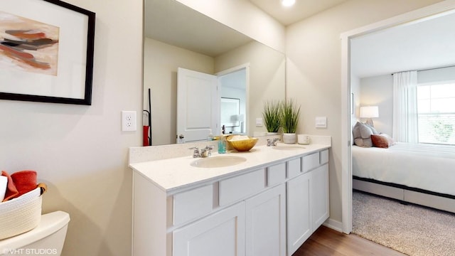 bathroom featuring toilet, vanity, and wood-type flooring