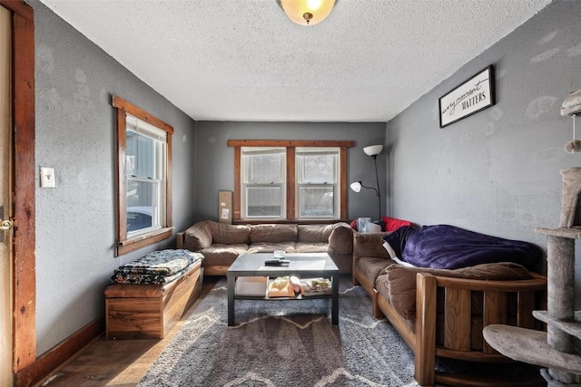 living room featuring a textured ceiling