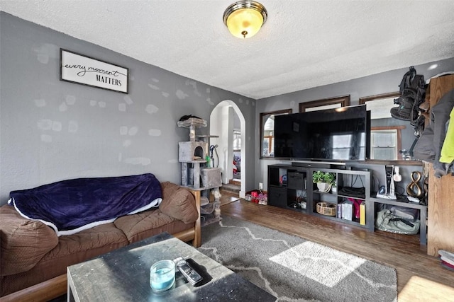 living room with a textured ceiling and wood-type flooring