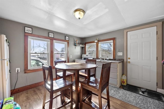 dining room featuring plenty of natural light and light hardwood / wood-style flooring