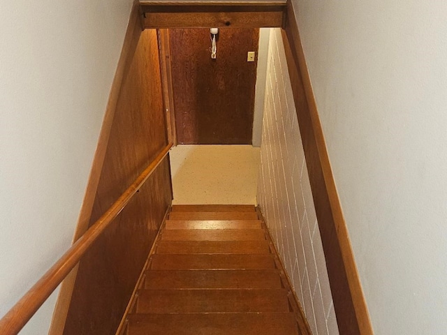 staircase with hardwood / wood-style floors