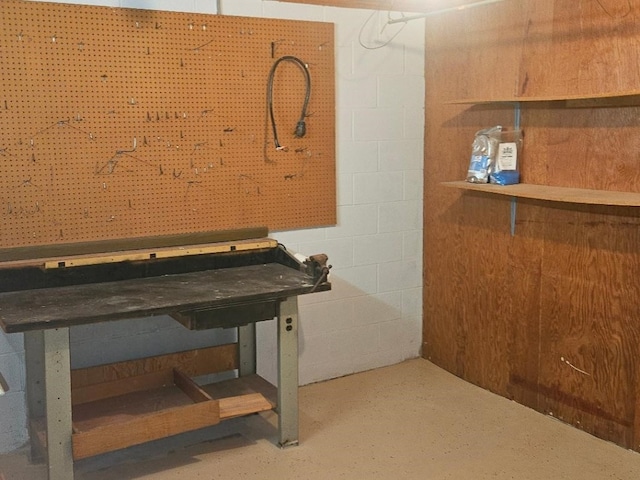 basement with a workshop area