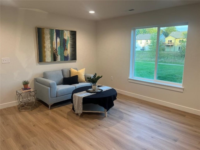 living room featuring light hardwood / wood-style flooring