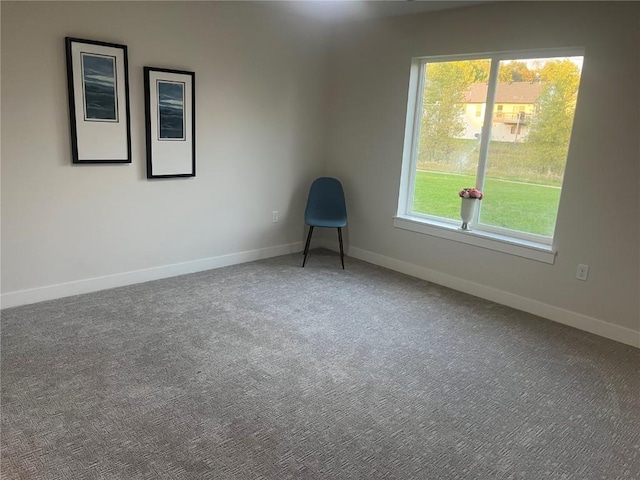 carpeted empty room featuring a wealth of natural light