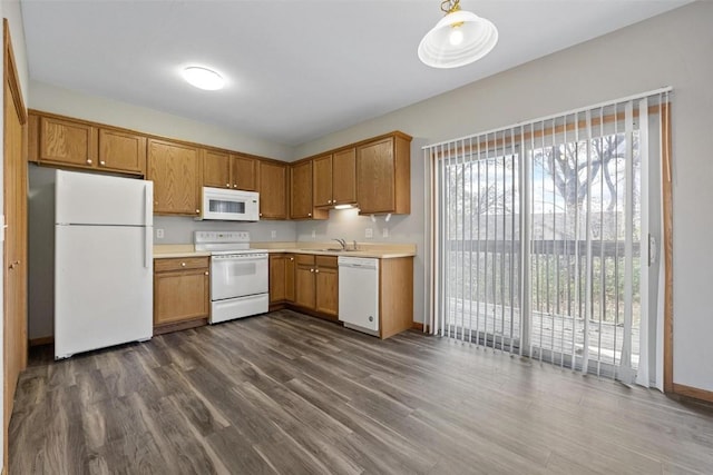 kitchen with sink, white appliances, dark hardwood / wood-style flooring, and a healthy amount of sunlight