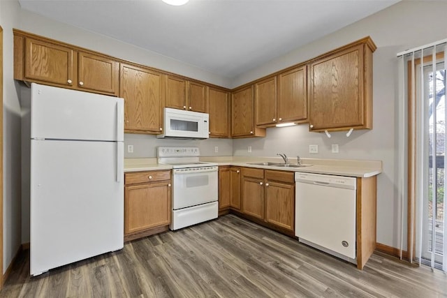 kitchen featuring sink, white appliances, plenty of natural light, and dark hardwood / wood-style flooring