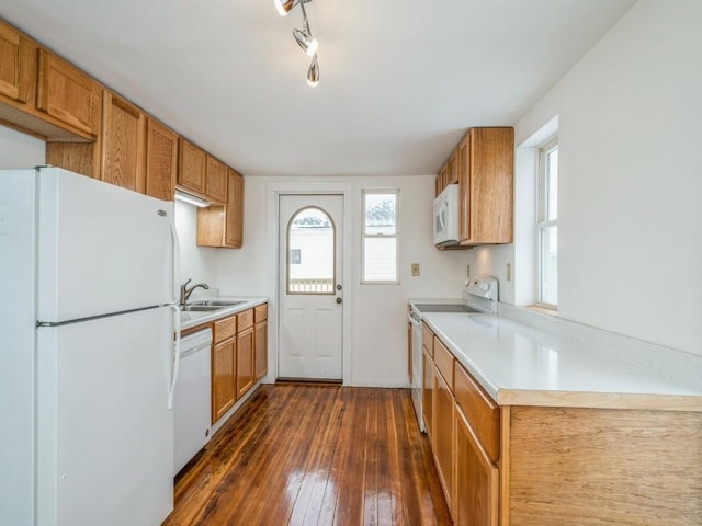 kitchen with sink, white appliances, and dark hardwood / wood-style flooring