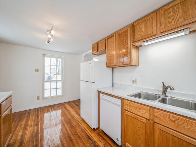 kitchen with sink, white dishwasher, and dark hardwood / wood-style flooring