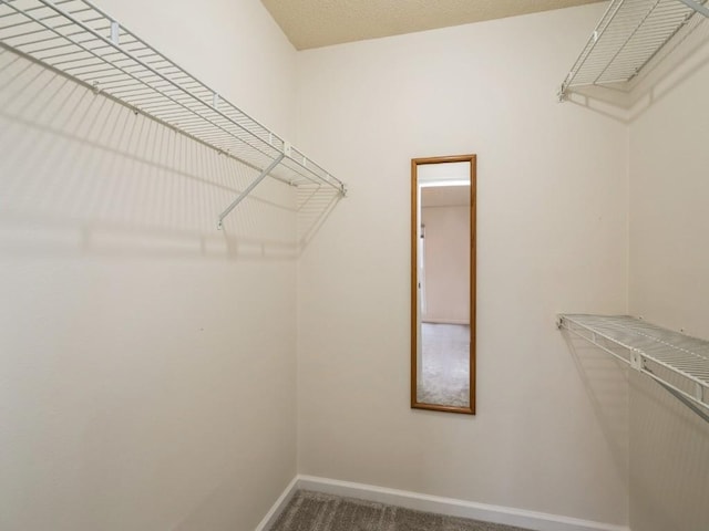 spacious closet with carpet