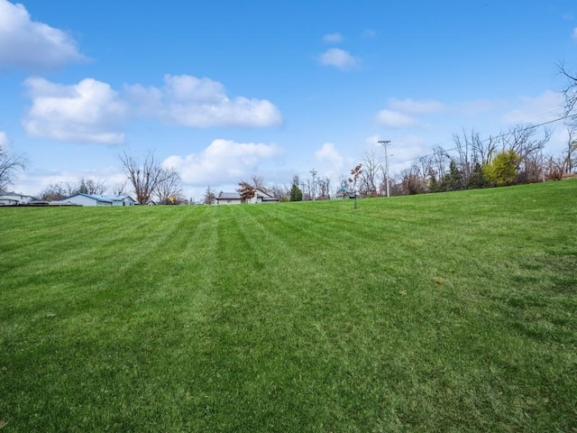 view of yard featuring a rural view