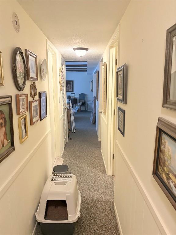 hall featuring carpet floors and a textured ceiling