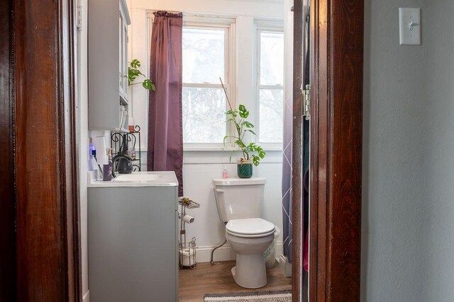 bathroom with vanity, wood-type flooring, and toilet