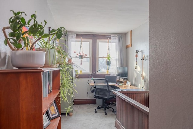 view of carpeted office space