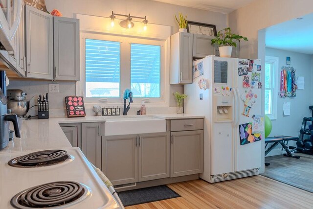 kitchen featuring gray cabinetry, sink, white refrigerator with ice dispenser, and light hardwood / wood-style flooring