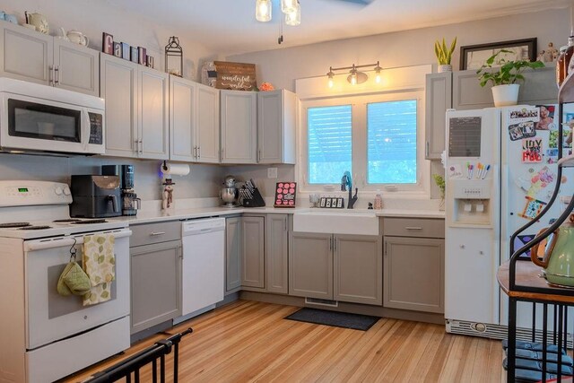 kitchen with sink, gray cabinetry, white appliances, and light hardwood / wood-style floors