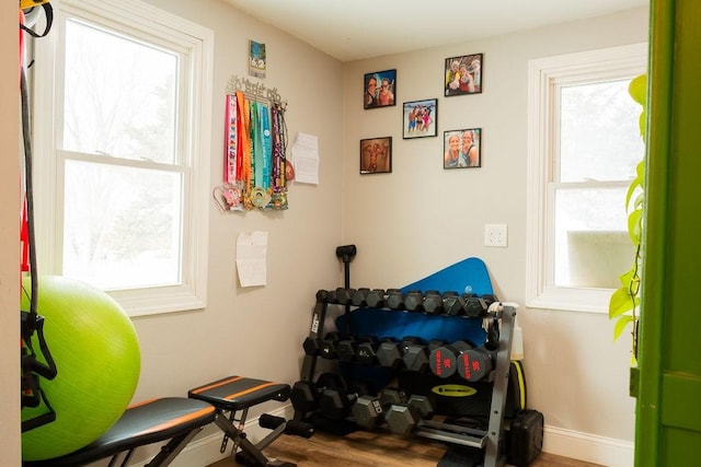 exercise area featuring a healthy amount of sunlight and hardwood / wood-style floors