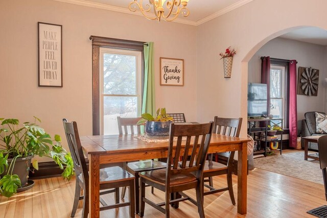 dining space with ornamental molding, a notable chandelier, a wealth of natural light, and light hardwood / wood-style floors